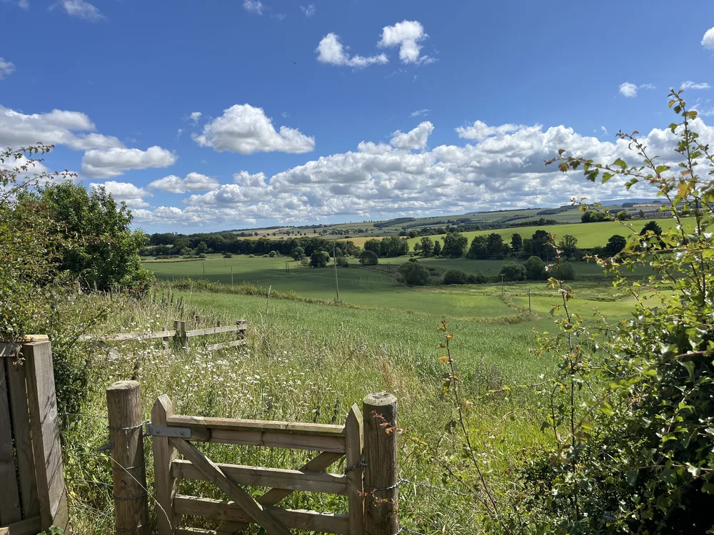 535FC1B3-8B06-4C94-8F47-75888C61D401