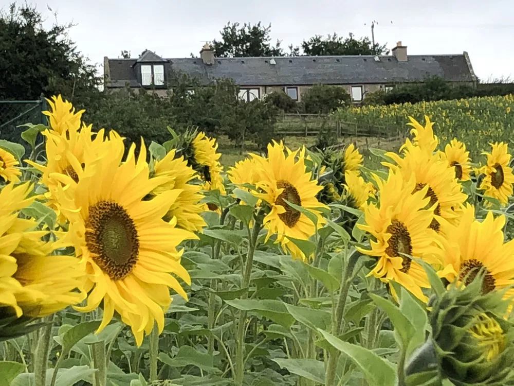 699DFF6C-284C-4194-AD0C-2AB89E0F75A0