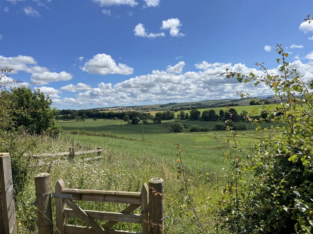 B287BE9F-F2AD-4693-B05A-6373A2B1F7FC