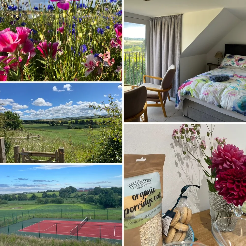 BC6A2A72-745F-45C4-A740-2F67B295150D