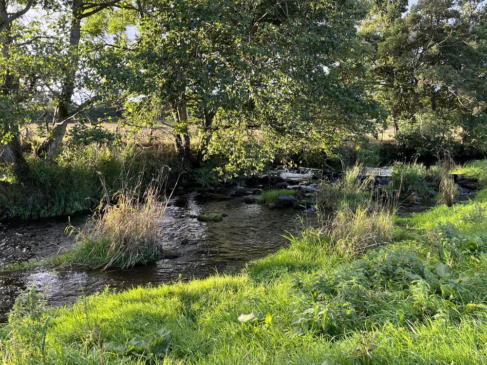 DEB0A508-2B63-4D2D-ABCF-B781A2C6F95F