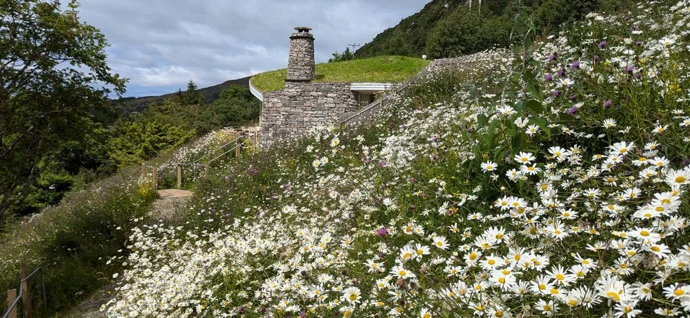 Curved Stone Flower crop