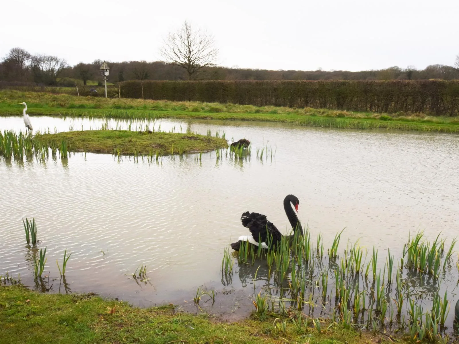 Lakehouse Apartment 12