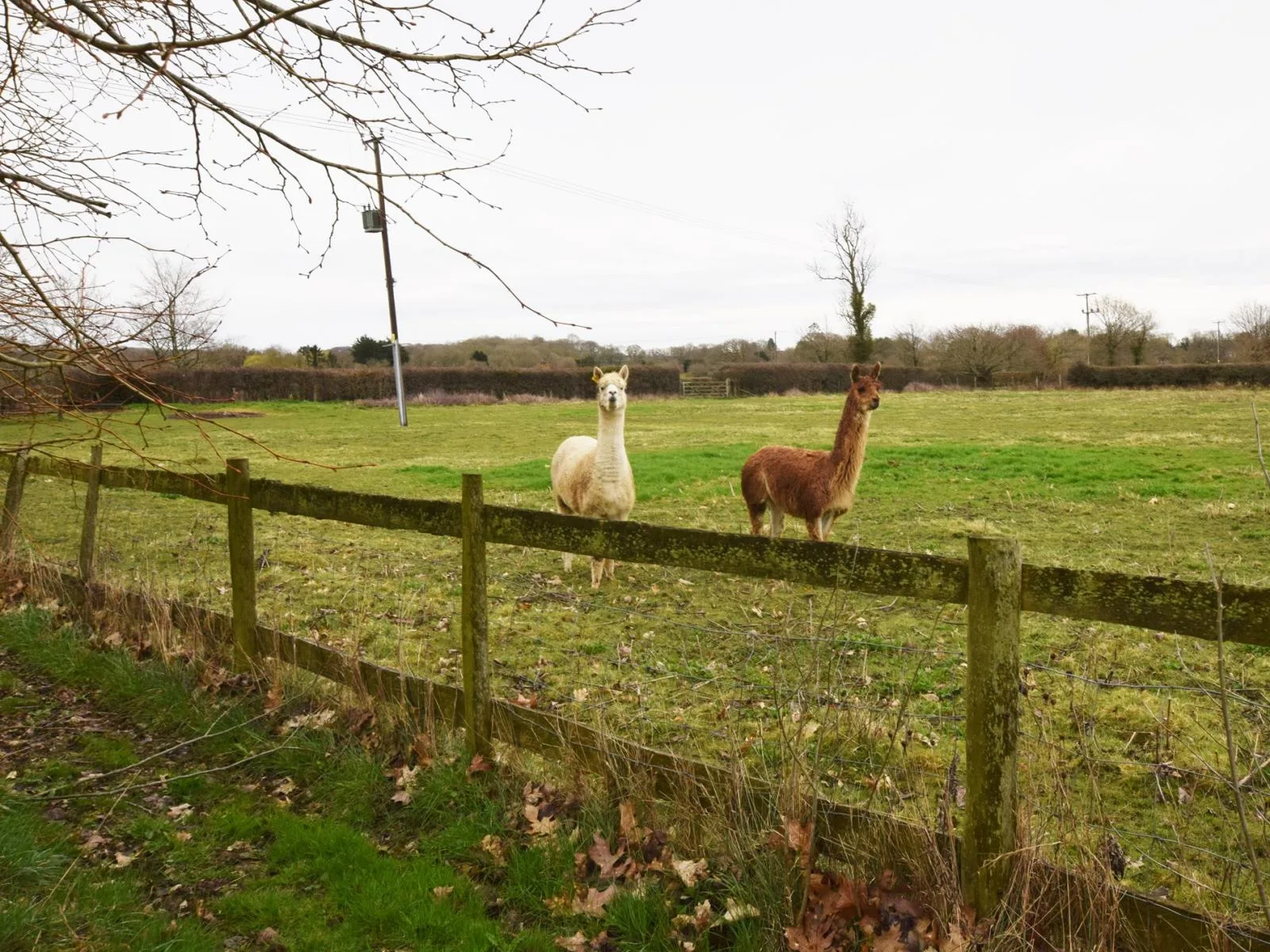 Lakehouse Apartment 14