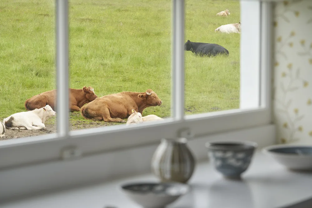 Achnahatnich_DG_3016_original