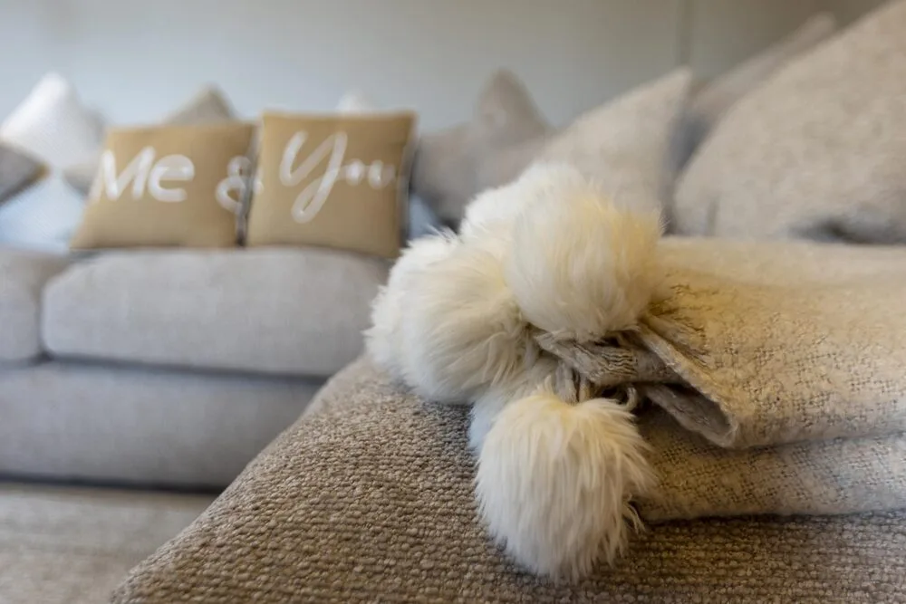 Higher-Scholes-Cottage-Lounge-23-scaled