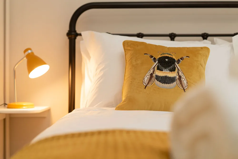 Rothiemurchus Flat Low Res-20