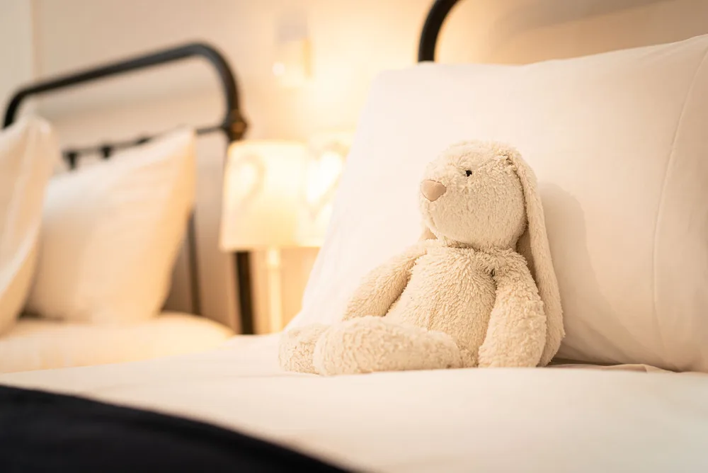 Rothiemurchus Flat Low Res-9