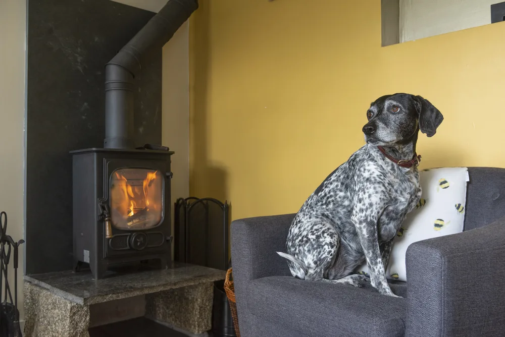 Honey Pot Cottage-16