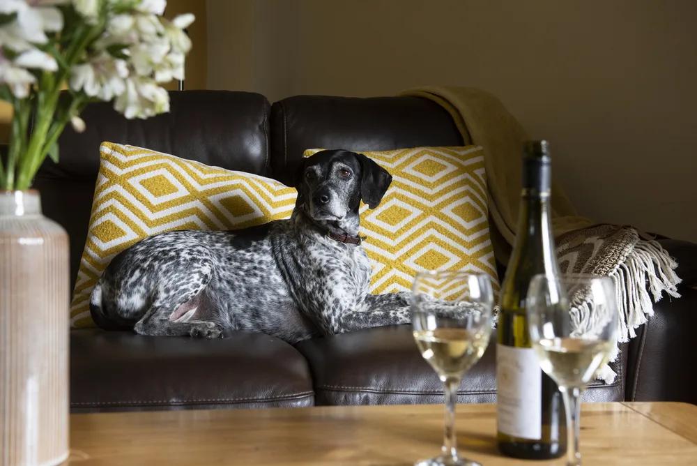 Honey Pot Cottage-20